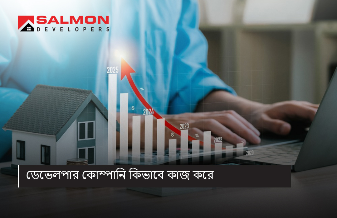 ডেভেলপার কোম্পানি কিভাবে কাজ করে